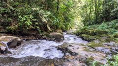 river or water scene