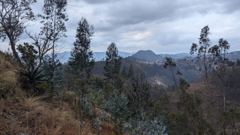 charred hillside and mountains