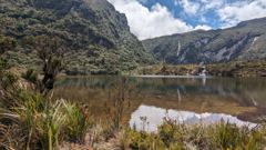 highland lake with reeds
