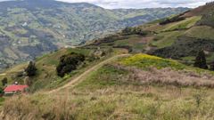 Andean hillside landscape