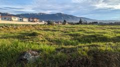 sunlit rural field