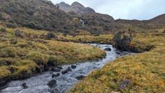 stream through highland grass