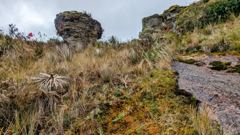 rocky trail between highland outcrops