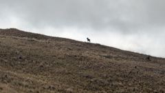 highland mountain landscape