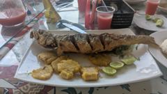 served meal or drink