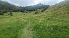 grassy highland trail