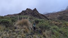 rocky mountain trail