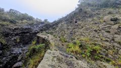 mountain gorge landscape
