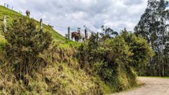 trail or route scene