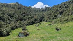 mountain or valley landscape