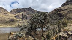 highland lake and mountain landscape