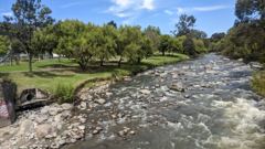 river or water scene