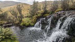 waterfall cascade