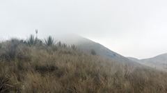 foggy highland slope
