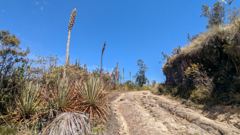 trail or route scene