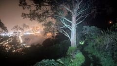 night outdoor scene
