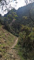 narrow mountain trail