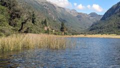 lake with reeds and mountains
