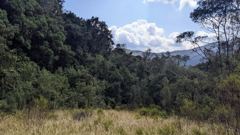 mountain or valley landscape