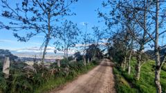 dirt road with city view