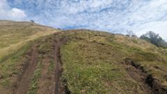 narrow grassy trail