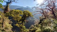wooded mountain trail view