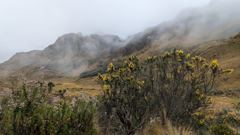 mountain or valley landscape