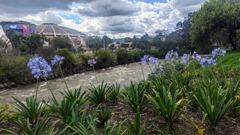 garden overlook