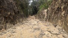 eroded dirt trail or dry creek bed