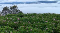 mountain or valley landscape