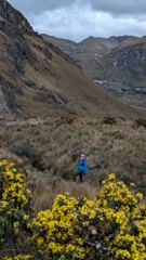 mountain or valley landscape