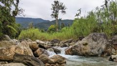 river or water scene