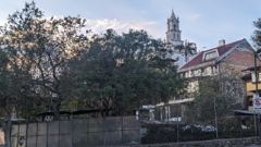 church tower behind trees