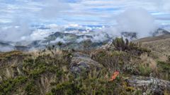mountain or valley landscape