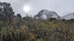 mountain or valley landscape