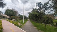 paved path and road corridor