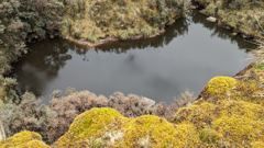 pond with mossy rocks