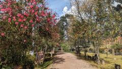 park path