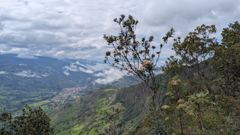 mountain or valley landscape
